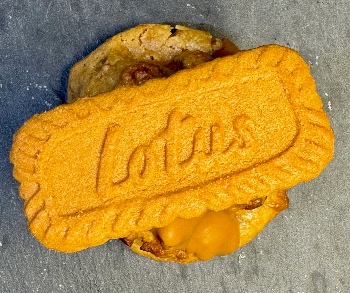 DOUBLE SPECULOOS