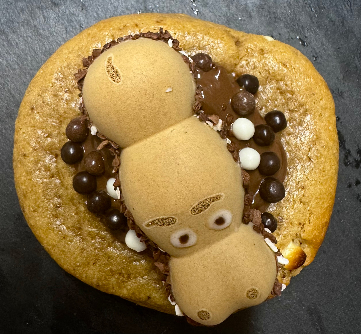 COOKIE HIPPO NOISETTE
