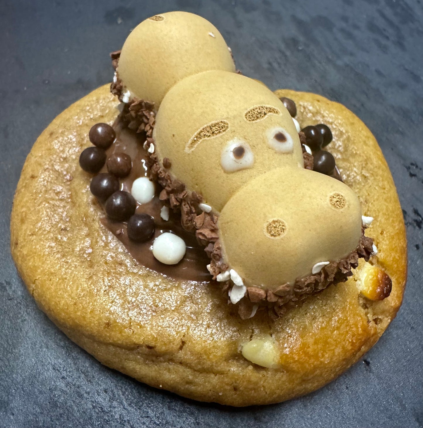 COOKIE HIPPO NOISETTE